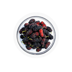 Mulberry Extract (20mg)